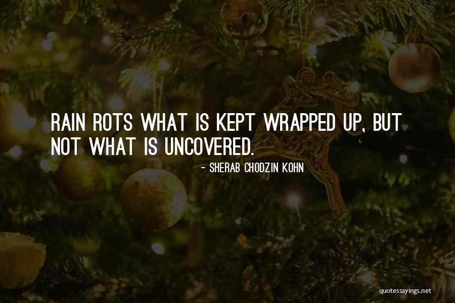 Wrapped In Rain Quotes By Sherab Chodzin Kohn