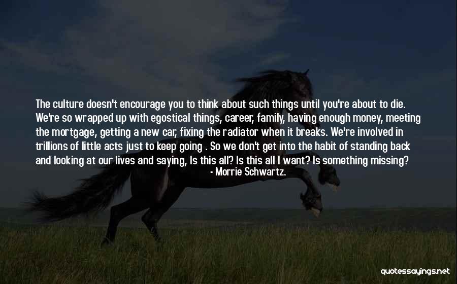 Wrapped Up In You Quotes By Morrie Schwartz.