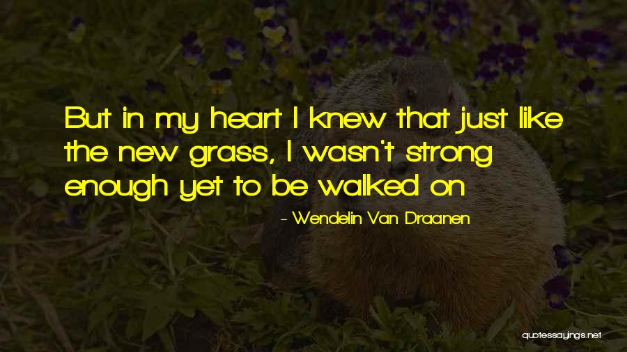 Wraps For Women Quotes By Wendelin Van Draanen Wraps For Women Quotes By Wendelin Van Draanen