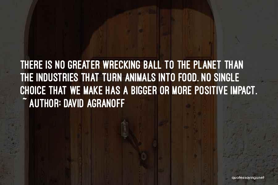Wrecking Ball Quotes By David Agranoff