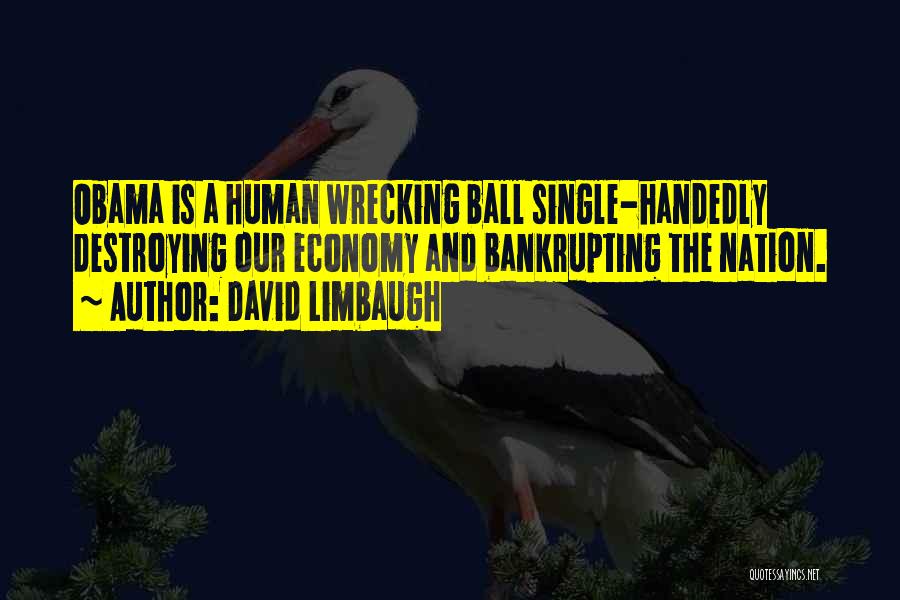 Wrecking Ball Quotes By David Limbaugh