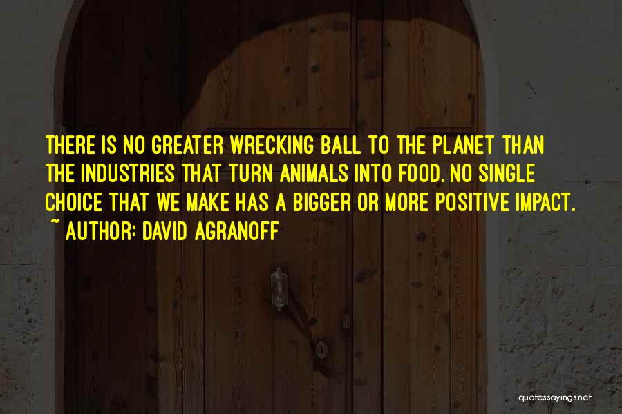 Wrecking Quotes By David Agranoff