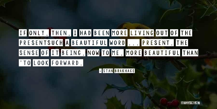 Wrenchers Quotes By Stan Brakhage Wrenchers Quotes By Stan Brakhage