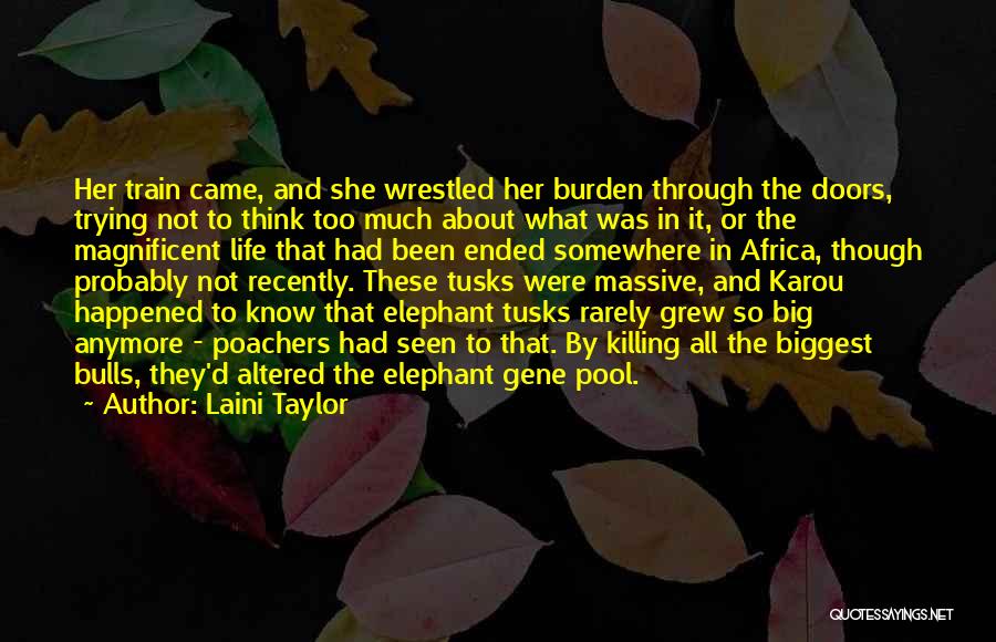 Wrestled Quotes By Laini Taylor