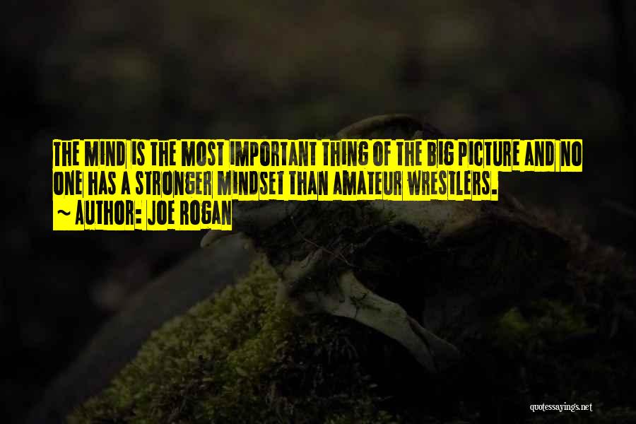 Wrestlers Quotes By Joe Rogan