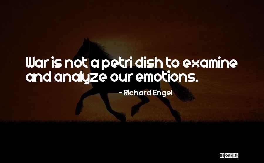 Wrestling Team Sayings And Quotes By Richard Engel