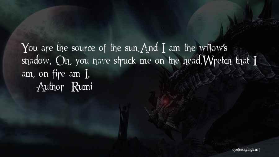 Wretch Quotes By Rumi