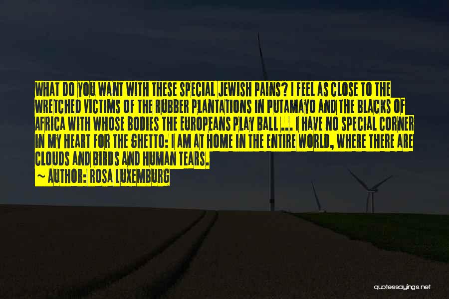 Wretched World Quotes By Rosa Luxemburg