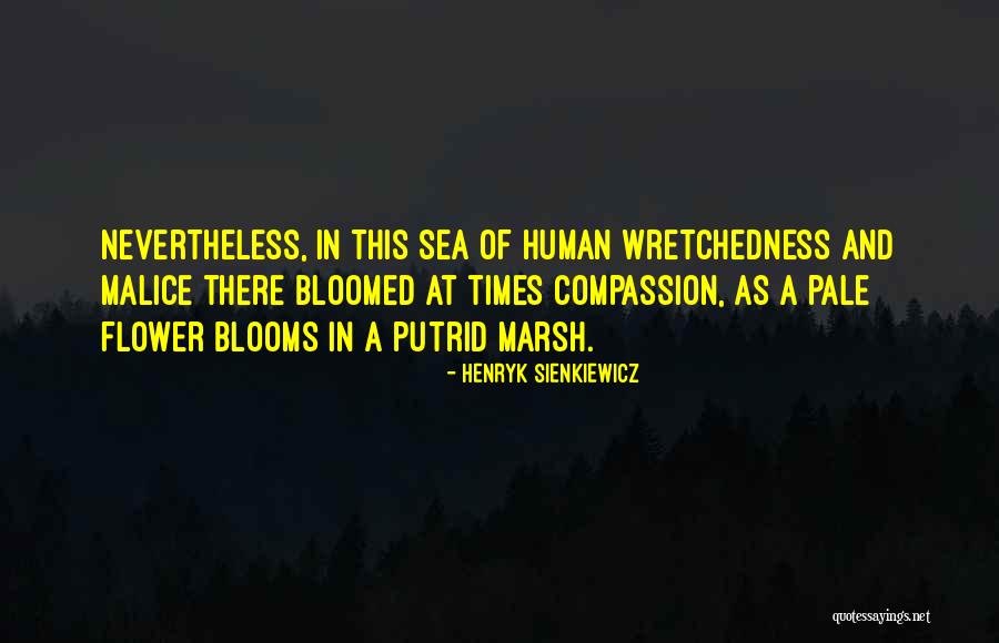 Wretchedness Despair Quotes By Henryk Sienkiewicz Wretchedness Despair Quotes By Henryk Sienkiewicz