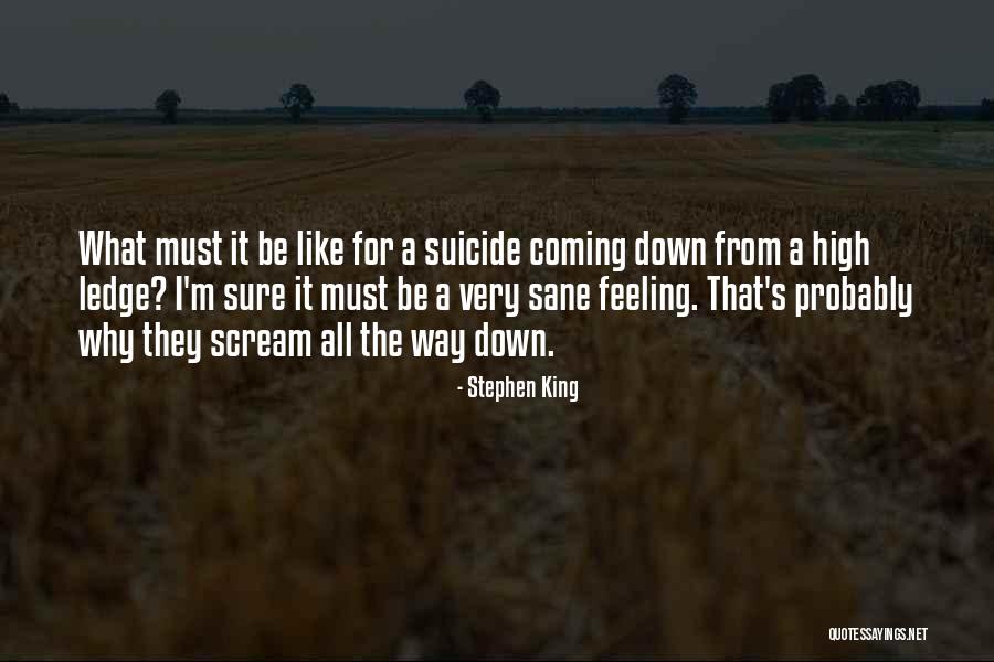 Wriggling Fly Larvae Quotes By Stephen King Wriggling Fly Larvae Quotes By Stephen King