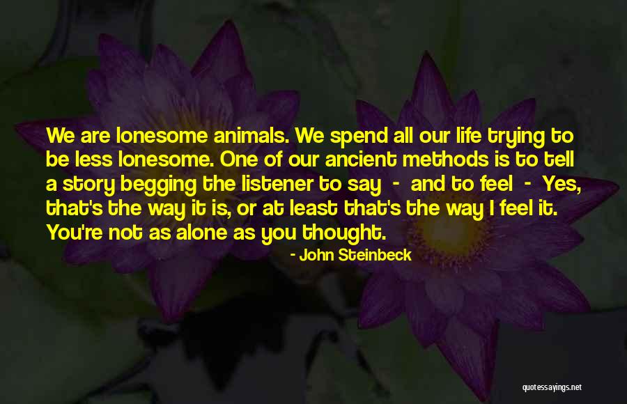 Wriggly Tin Quotes By John Steinbeck Wriggly Tin Quotes By John Steinbeck