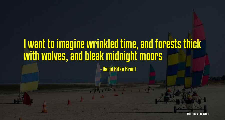 Wrinkled Quotes By Carol Rifka Brunt Wrinkled Quotes By Carol Rifka Brunt