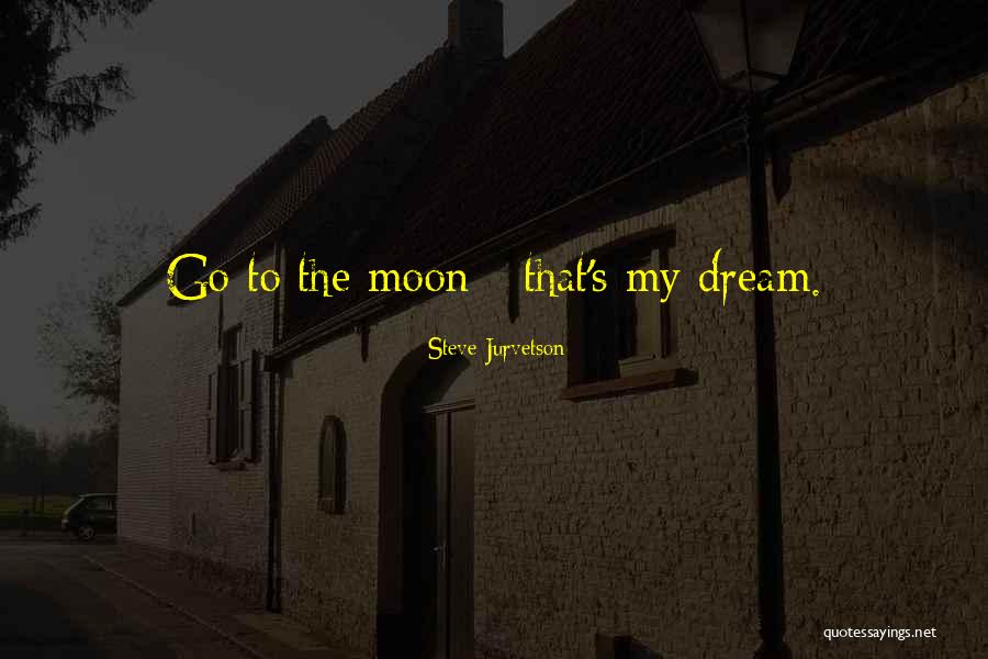 Wriothesley Tudors Quotes By Steve Jurvetson Wriothesley Tudors Quotes By Steve Jurvetson