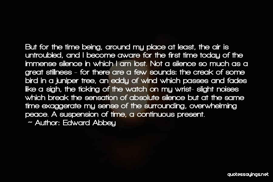 Wrist Watch Quotes By Edward Abbey