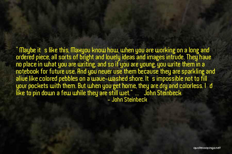 Write Alive Quotes By John Steinbeck Write Alive Quotes By John Steinbeck
