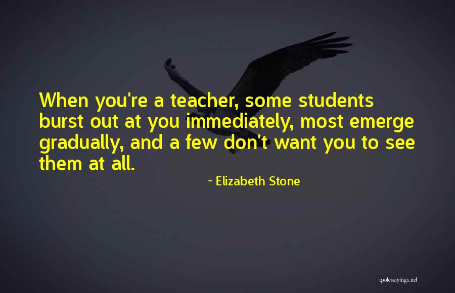 Write And Interpret Quotes By Elizabeth Stone Write And Interpret Quotes By Elizabeth Stone