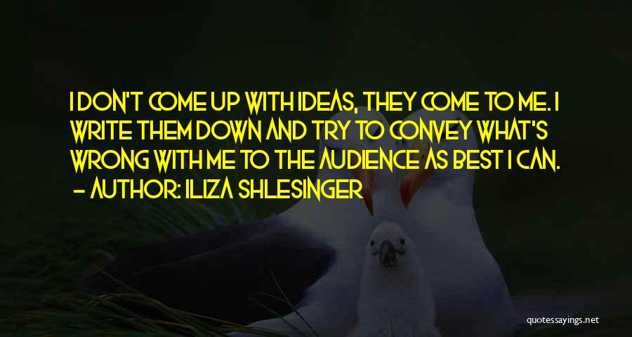 Write And Wrong Quotes By Iliza Shlesinger