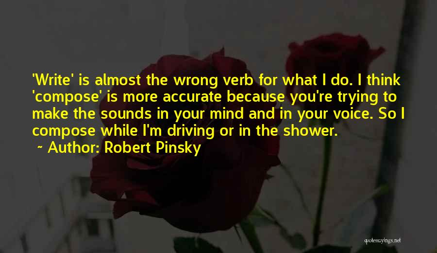 Write And Wrong Quotes By Robert Pinsky
