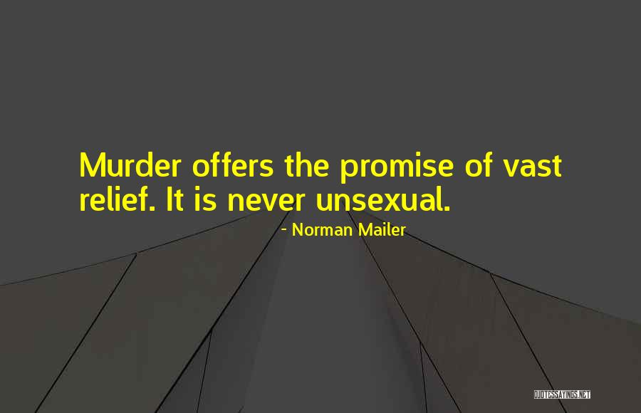 Write The Equation Quotes By Norman Mailer Write The Equation Quotes By Norman Mailer