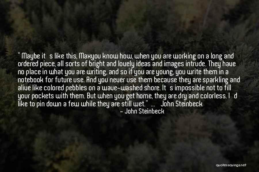 Write Your Future Quotes By John Steinbeck Write Your Future Quotes By John Steinbeck