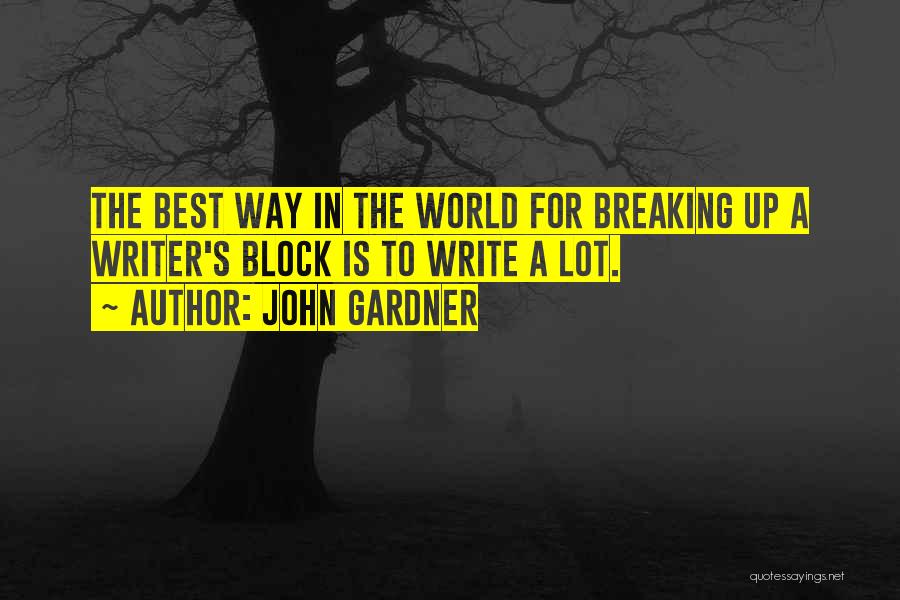 Writer S Advice Quotes By John Gardner