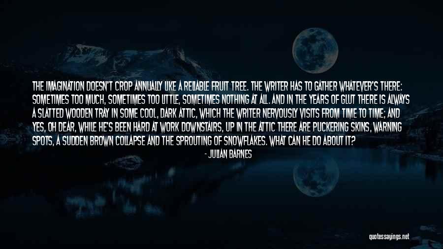 Writer S Quotes By Julian Barnes