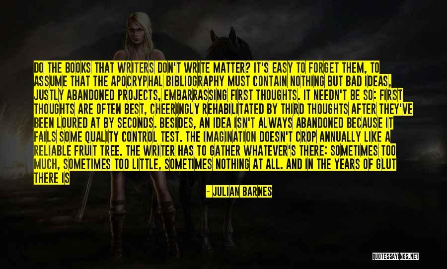Writer Thoughts Quotes By Julian Barnes Writer Thoughts Quotes By Julian Barnes