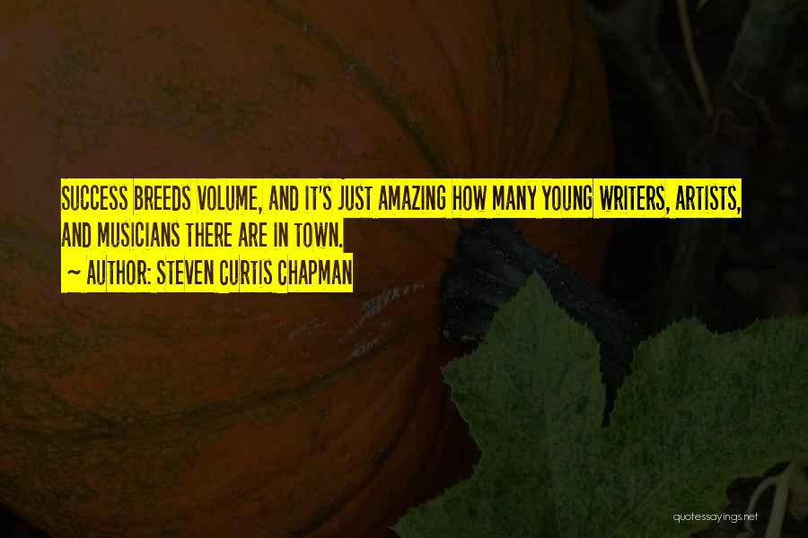 Writers And Artists Quotes By Steven Curtis Chapman