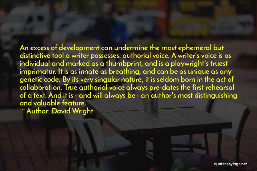 Writer's Voice Quotes By David Wright