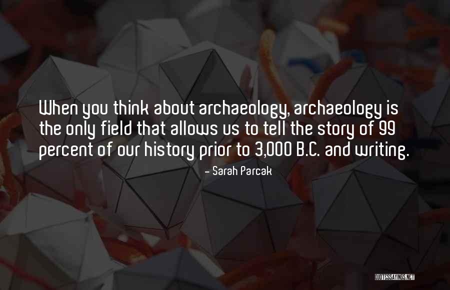 Writing About History Quotes By Sarah Parcak Writing About History Quotes By Sarah Parcak