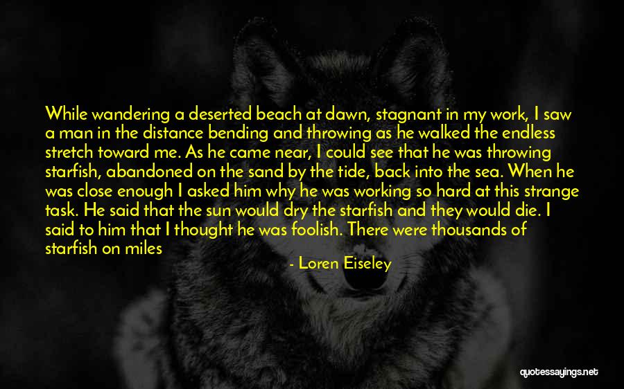 Writing And Hard Work Quotes By Loren Eiseley Writing And Hard Work Quotes By Loren Eiseley