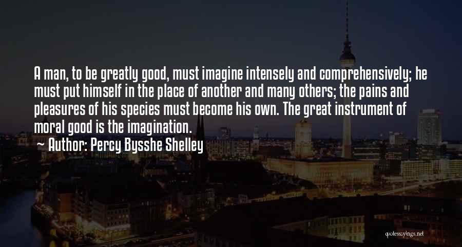 Writing And Imagination Quotes By Percy Bysshe Shelley