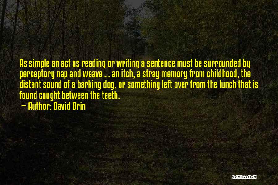Writing And Memory Quotes By David Brin