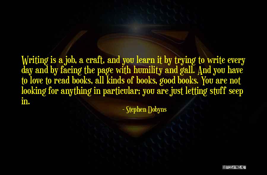 Writing Every Day Quotes By Stephen Dobyns