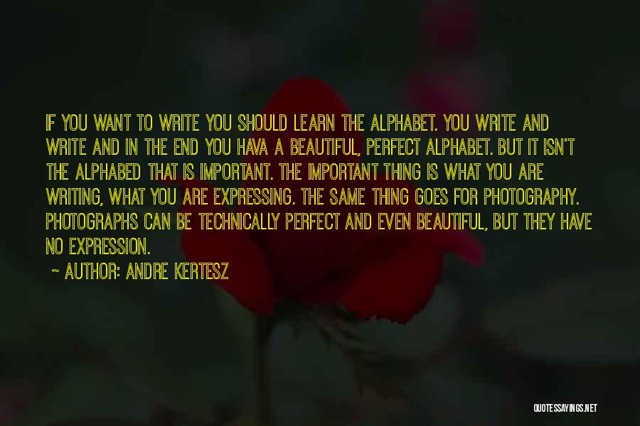 Writing Expression Quotes By Andre Kertesz