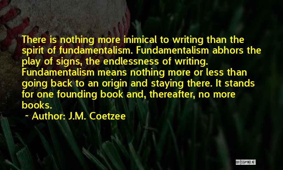 Writing Less Is More Quotes By J.M. Coetzee