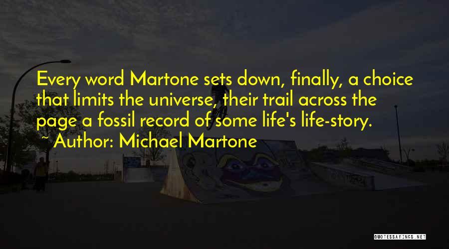 Writing Life Story Quotes By Michael Martone