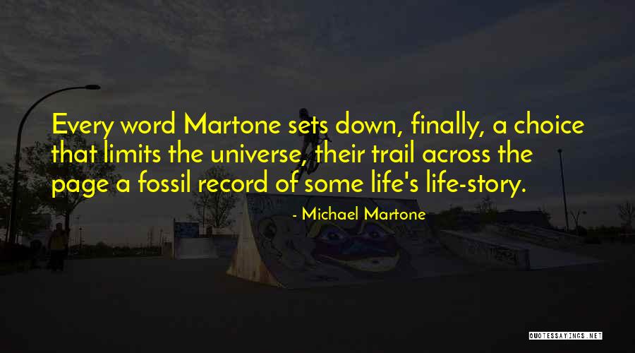 Writing Life Story Quotes By Michael Martone