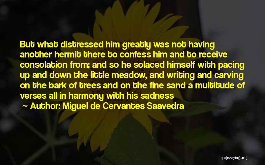 Writing On Sand Quotes By Miguel De Cervantes Saavedra