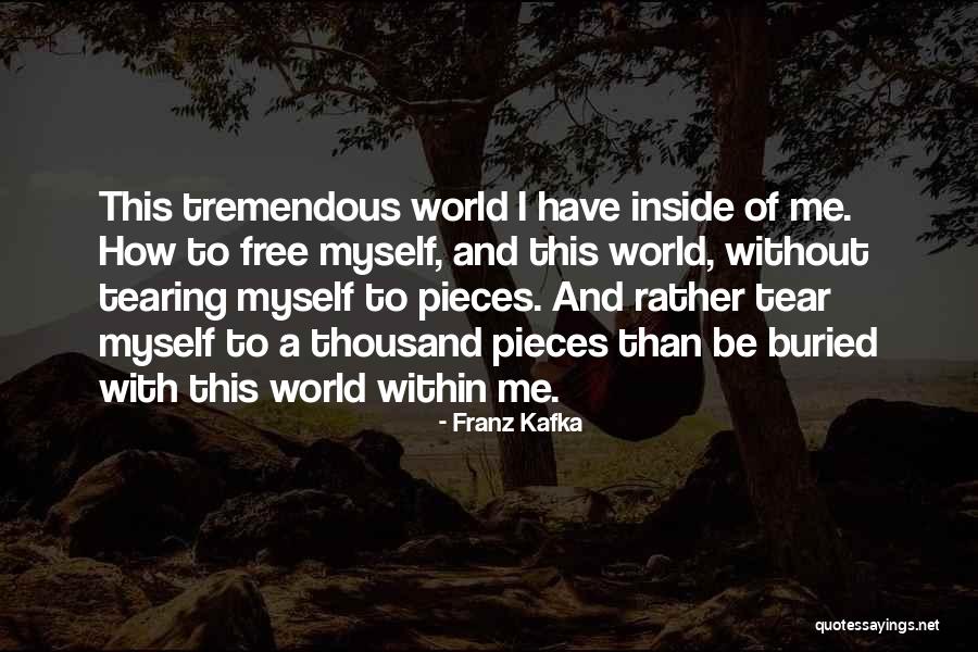 Writing Process Creative Process Quotes By Franz Kafka Writing Process Creative Process Quotes By Franz Kafka