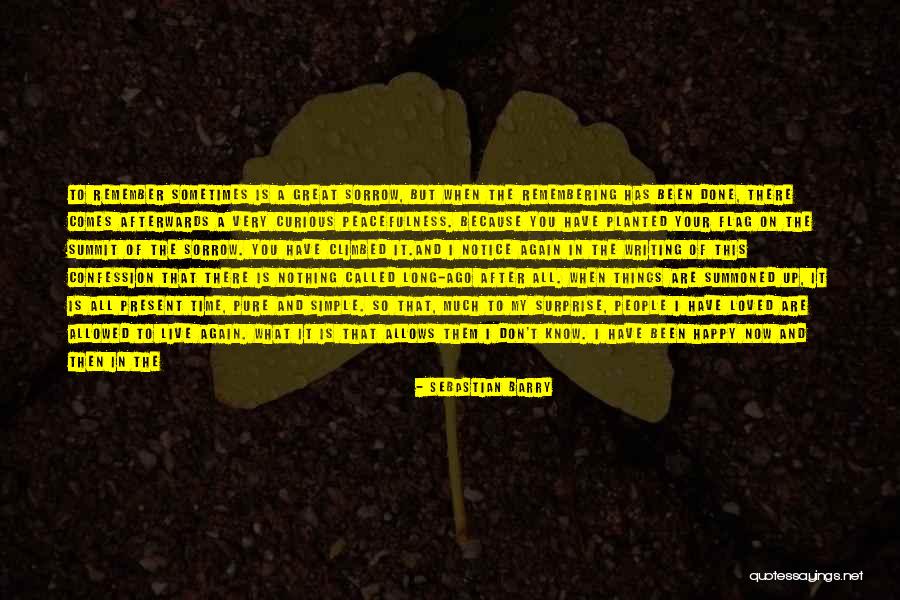 Writing Surprise Quotes By Sebastian Barry Writing Surprise Quotes By Sebastian Barry
