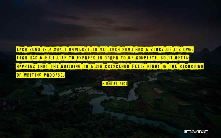 Writing The Right Song Quotes By Damien Rice Writing The Right Song Quotes By Damien Rice