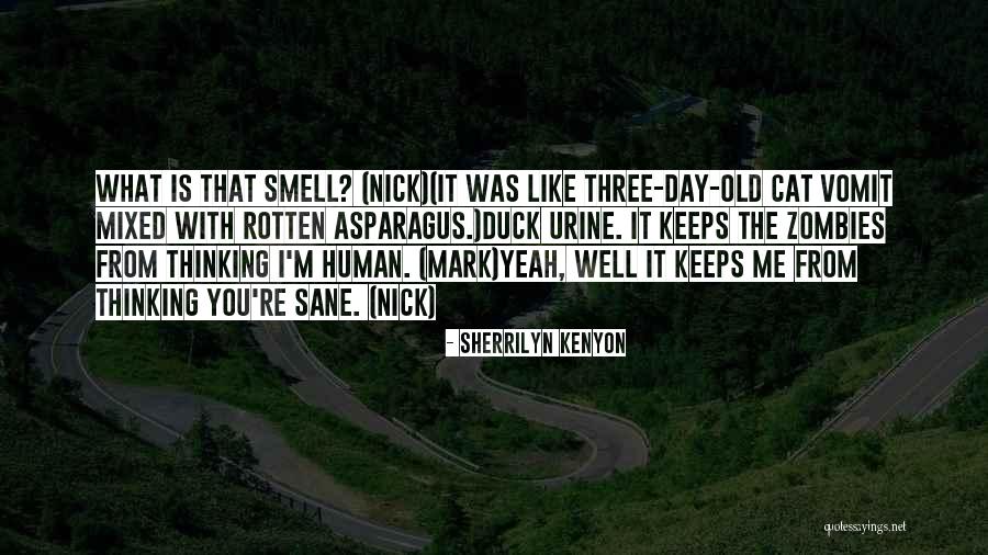 Writing When Do You Use Numerals Quotes By Sherrilyn Kenyon Writing When Do You Use Numerals Quotes By Sherrilyn Kenyon