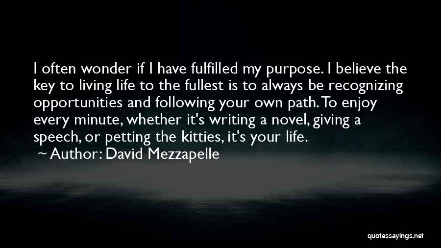 Writing Your Own Life Quotes By David Mezzapelle