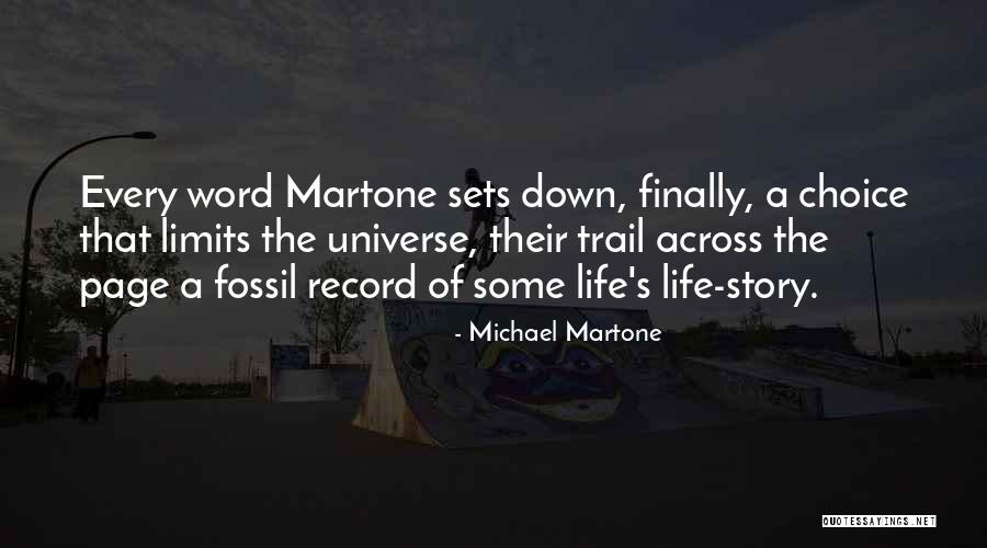 Writing Your Own Life Story Quotes By Michael Martone