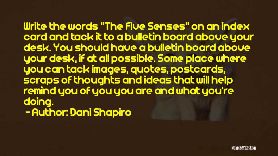 Writing Your Thoughts Quotes By Dani Shapiro