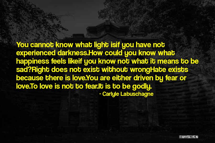 Wrong But Feels Right Quotes By Carlyle Labuschagne Wrong But Feels Right Quotes By Carlyle Labuschagne