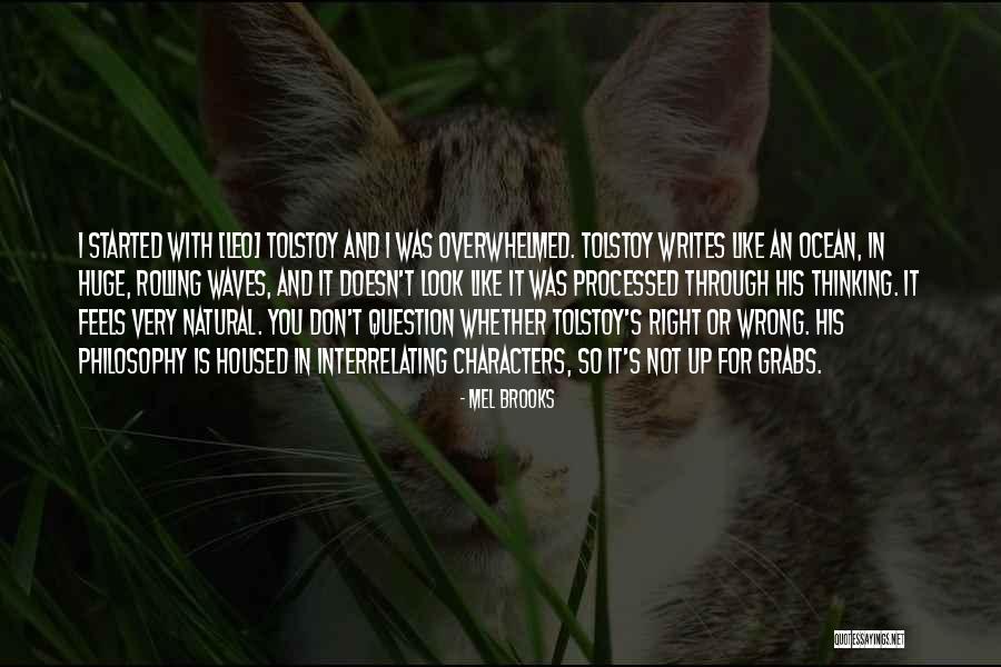 Wrong But Feels Right Quotes By Mel Brooks Wrong But Feels Right Quotes By Mel Brooks