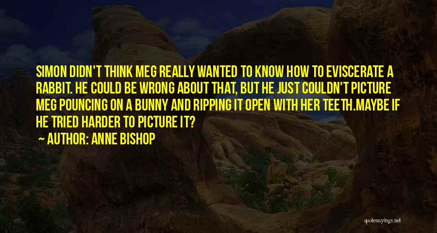 Wrong But Funny Quotes By Anne Bishop