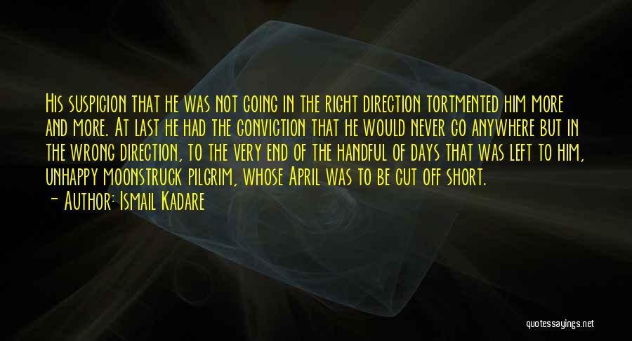 Wrong Direction Quotes By Ismail Kadare